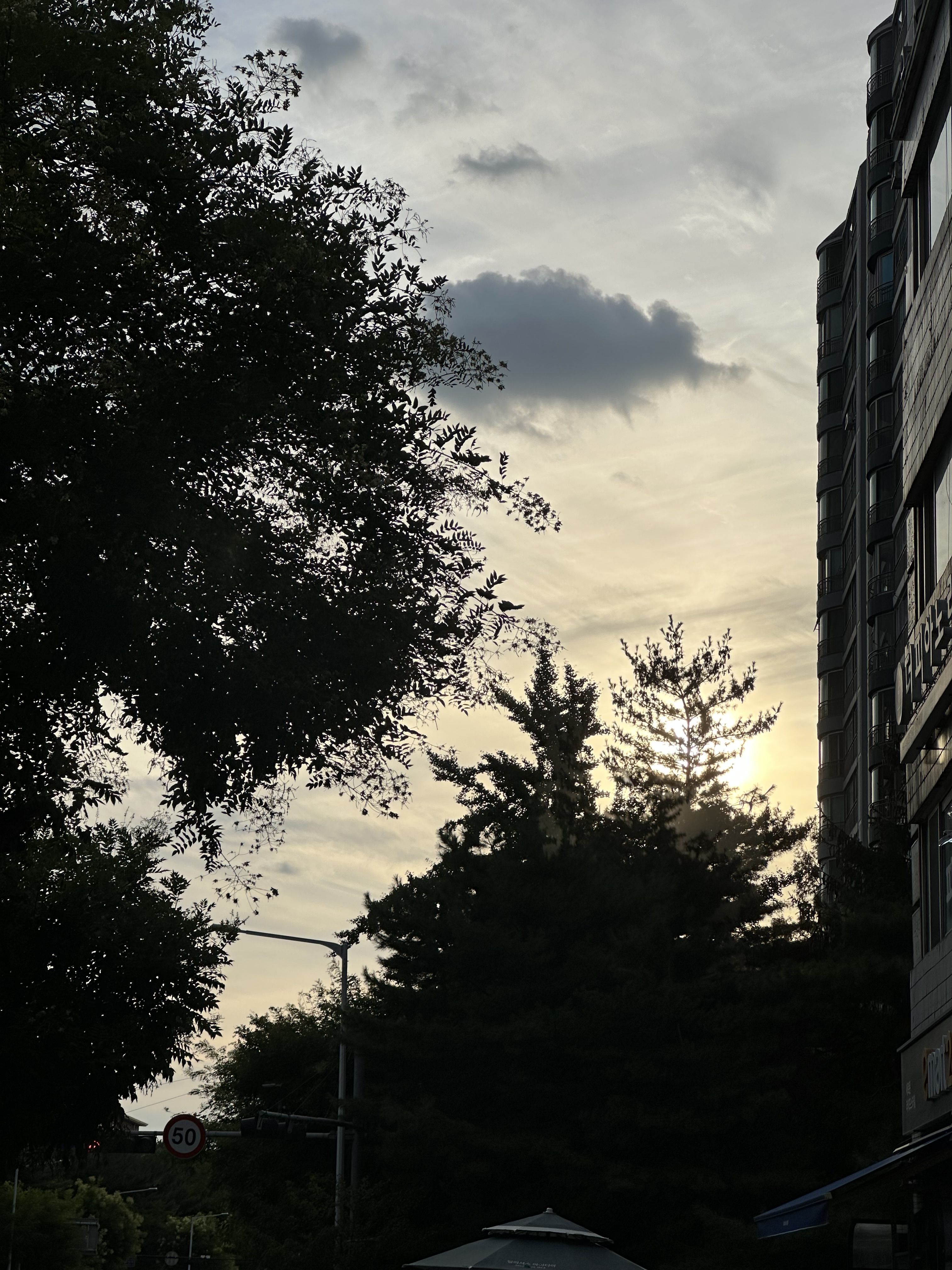 IMG_2939.jpeg