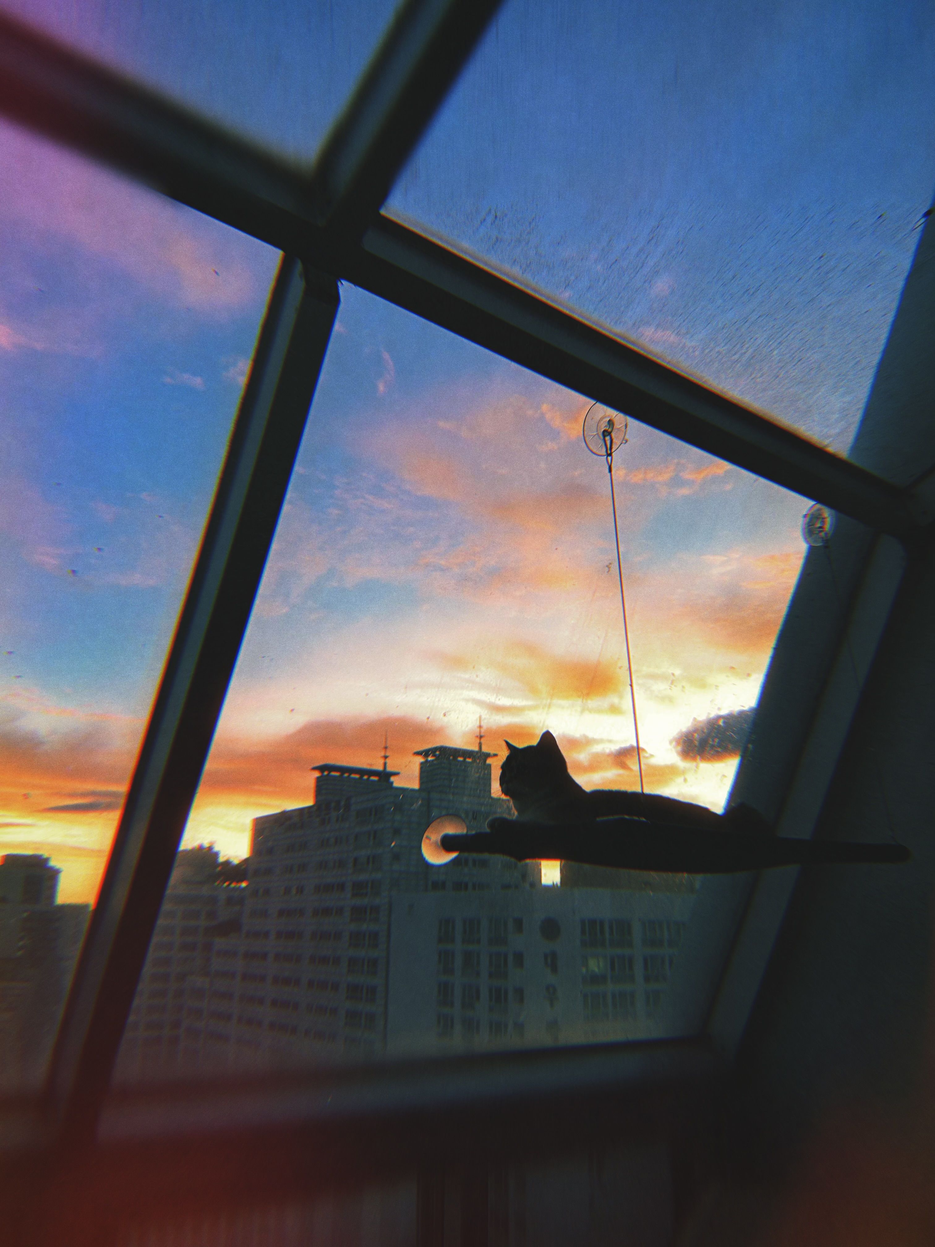 IMG_2954.jpeg